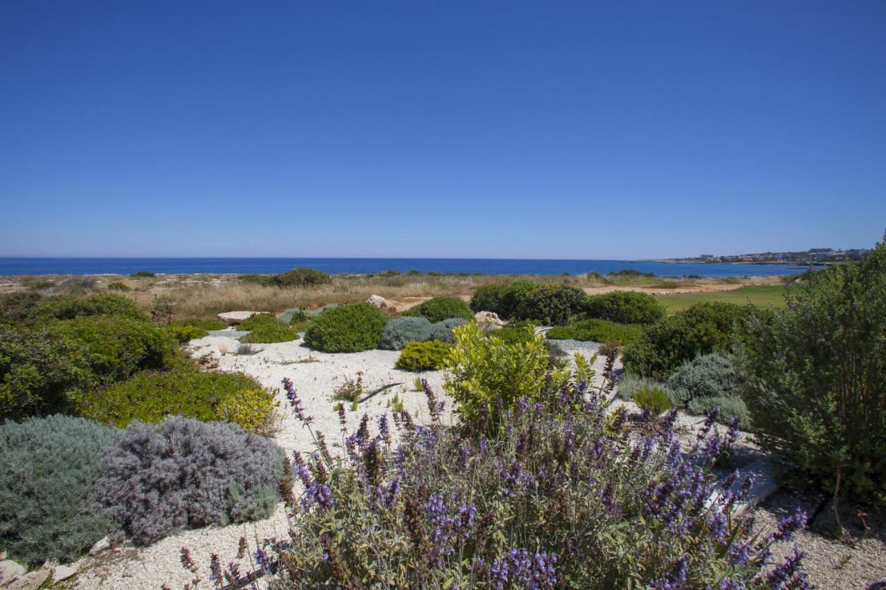Protaras Seafront Villa Melissa ภายนอก รูปภาพ